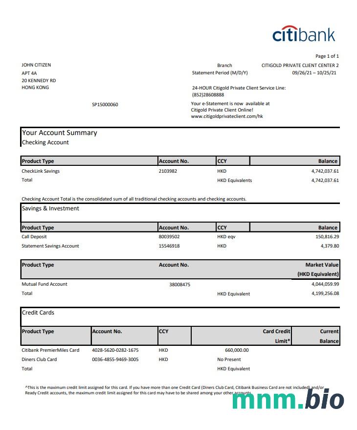 Szablon wyciągu z karty kredytowej Hong Kong Citibank w programie Word i PDF
